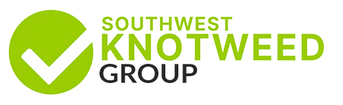 swkw group